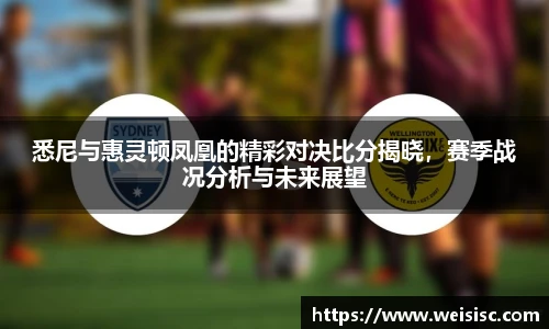 悉尼与惠灵顿凤凰的精彩对决比分揭晓，赛季战况分析与未来展望