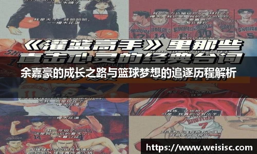 IM电竞官网入口