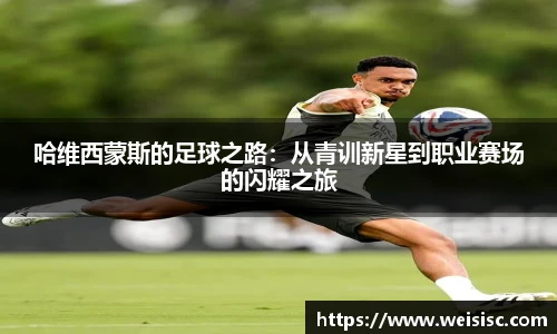 IM电竞官网入口